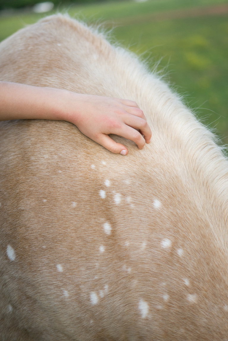atlanta-georgia-equestrian-photography